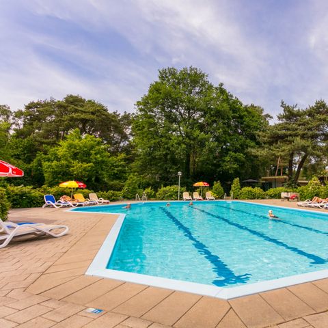 Bospark Markelo - Camping Hof von Twente - Image N°4