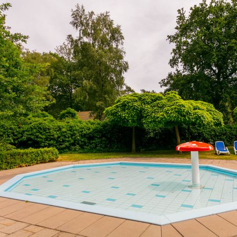 Bospark Markelo - Camping Hof von Twente - Image N°3
