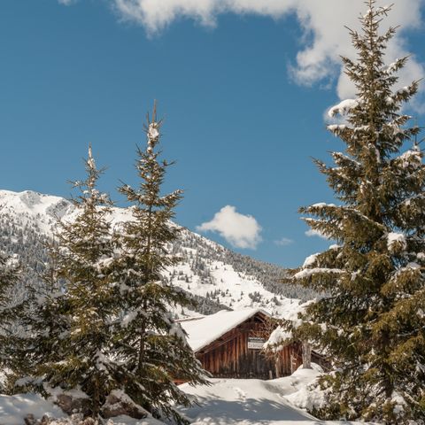 Pierre & Vacances Premium Résidence Les Fermes de Méribel - Camping Savoie - Image N°2