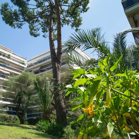 Pierre & Vacances Résidence La Rostagne - Camping Alpes-Maritimes - Image N°2