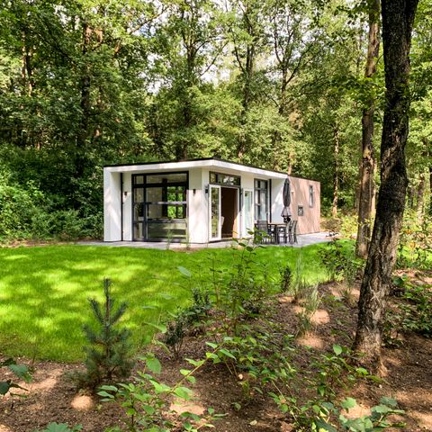 Bungalow 6 Personen - Modul Spezial