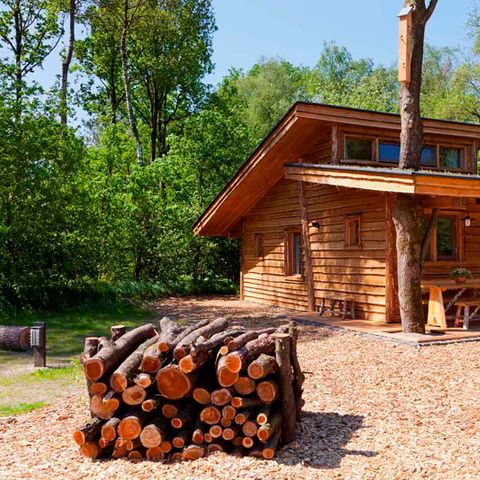 FERIENHAUS 6 Personen - Natur Lodge