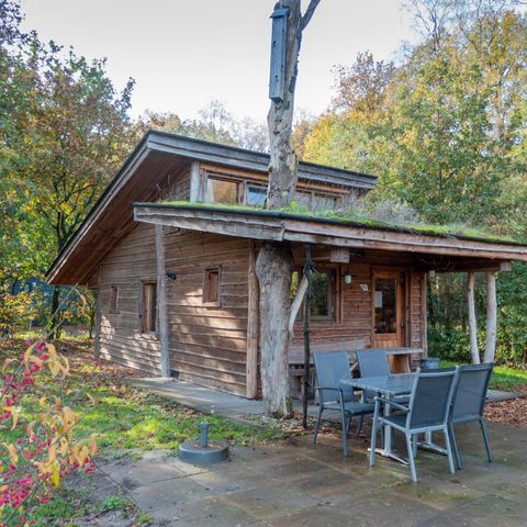 FERIENHAUS 6 Personen - Natur Lodge