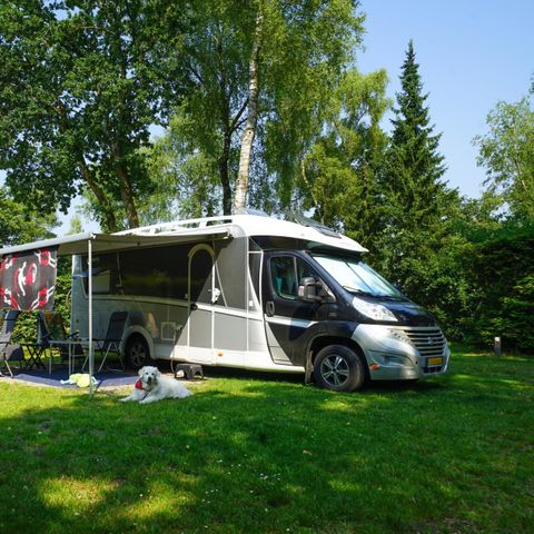 Stellplatz - Comfort XL – eigene Sanitäranlagen