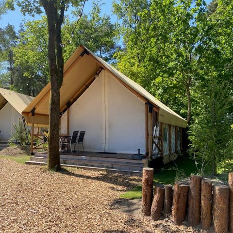 Zelt 4 Personen - Zelt Glamping
