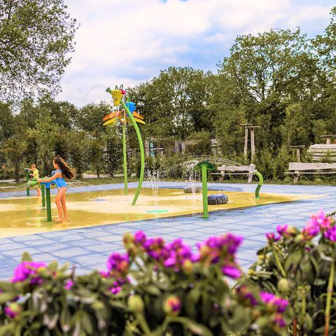 Summio Vakantiepark Schaijk - Landerd - Image N°4