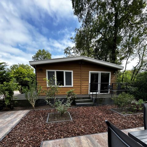 Bungalow 5 Personen - Birch Lodge