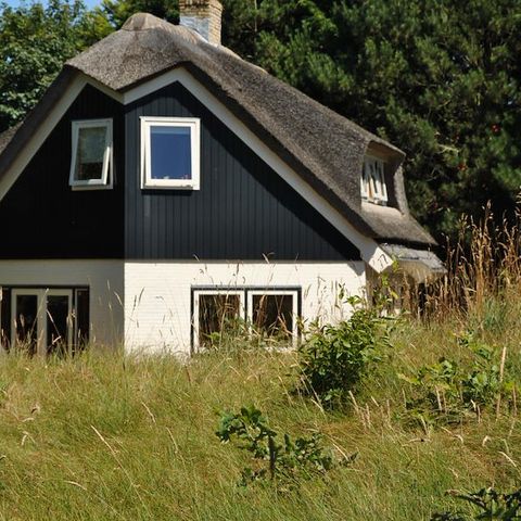 Ferienhaus 8 personen - Dünenhaus De Bosuil