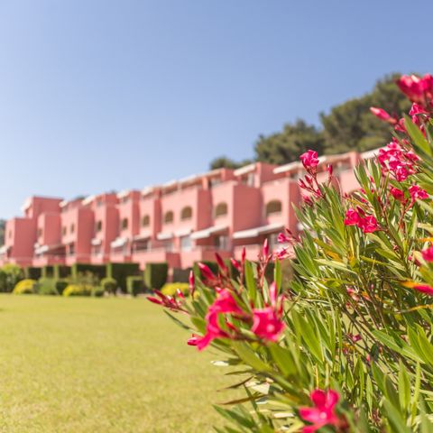 Pierre & Vacances Résidence Les Jardins de la Côte d'Azur - Camping Var - Image N°2