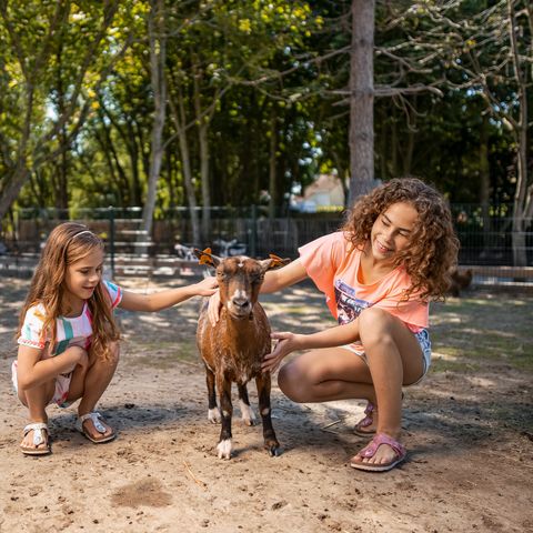 Center Parcs Park De Haan - Westflandern - Image N°6