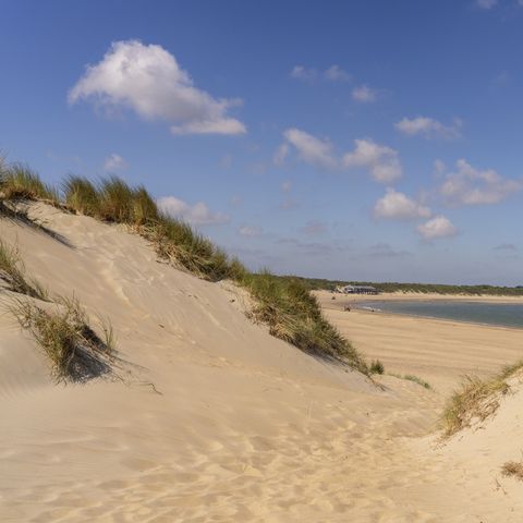 Landal Vakantiepark Bos en Duin - Veere - Image N°2