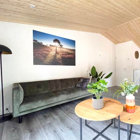 FERIENHAUS 4 Personen - Wildhoeve 