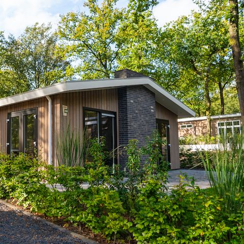 FERIENHAUS 4 Personen - Wildhoeve Komfort