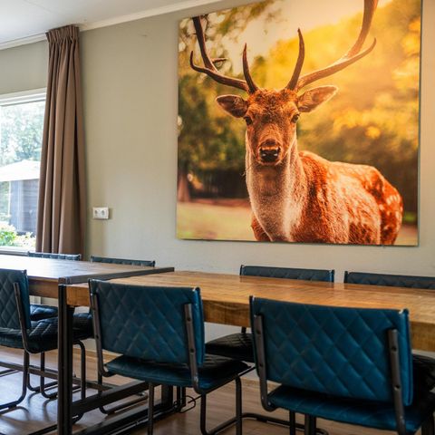 FERIENHAUS 10 Personen - Specht