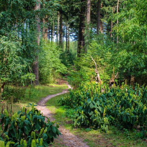AUßERGEWÖHNLICHE UNTERKUNFT 4 Personen - Komfort
