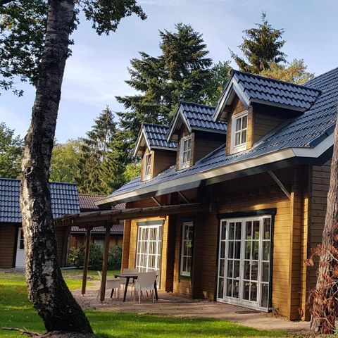 FERIENHAUS 14 Personen - Waldkauz am Waldrand