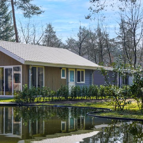 FERIENHAUS 4 Personen - Wildhoeve Komfort - 2 Badezimmer