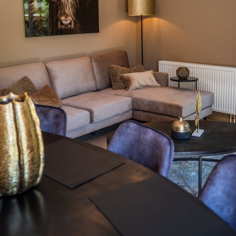 FERIENHAUS 6 Personen - Wildhoeve Komfort