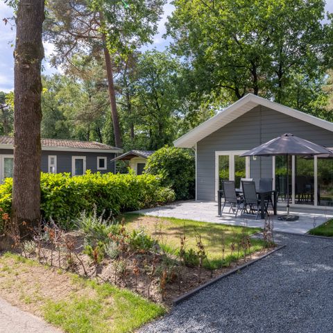 FERIENHAUS 6 Personen - Wildhoeve Komfort