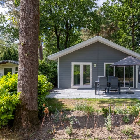 FERIENHAUS 6 Personen - Wildhoeve Komfort