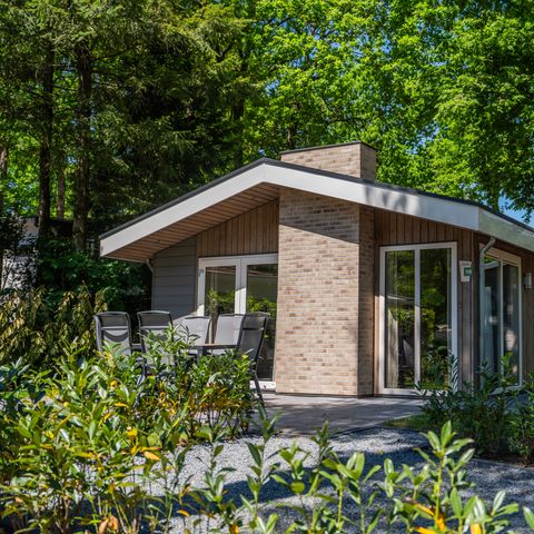 FERIENHAUS 6 Personen - Wildhoeve Komfort