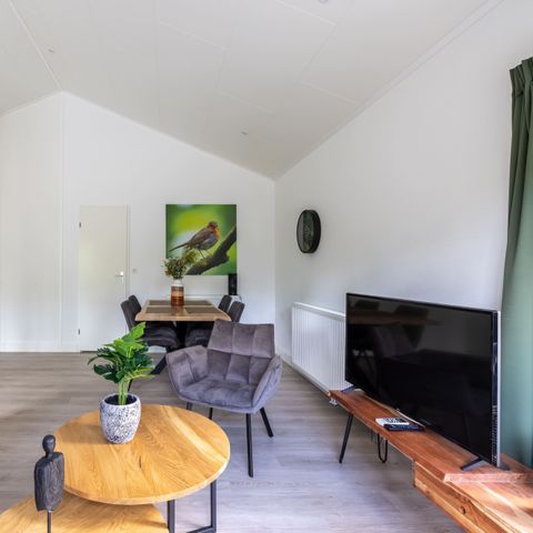 FERIENHAUS 6 Personen - Wildhoeve Komfort