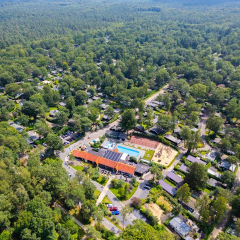 De Rimboe & Woeste Hoogte - Apeldoorn - Image N°5