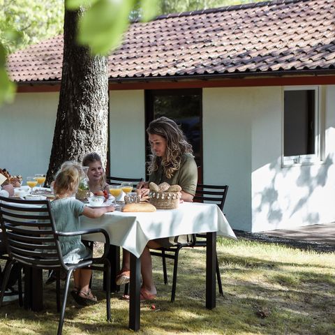 Ferienpark Grafschaft Bentheim - Camping Niedersachsen - Image N°2