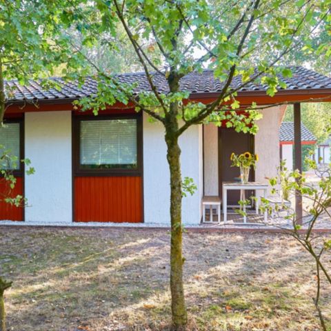 Ferienpark Grafschaft Bentheim - Camping Niedersachsen - Image N°6