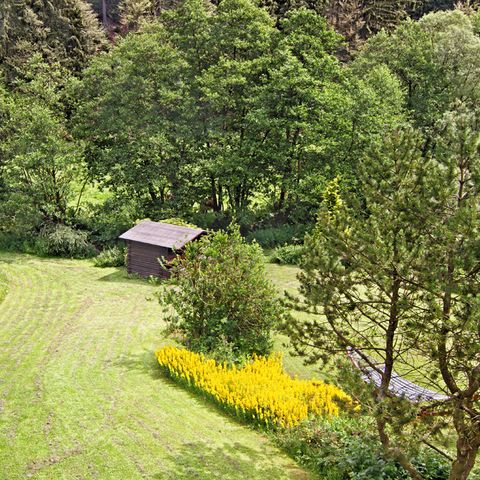 Sonnenhof Willingen - Hessen - Image N°6