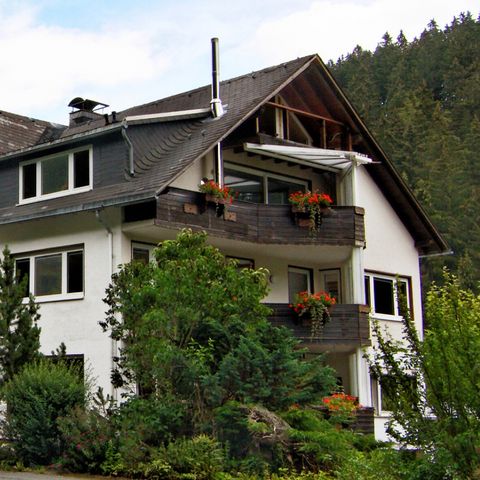 Sonnenhof Willingen - Camping Hessen - Image N°5