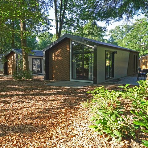 FERIENHAUS 4 Personen - Berkel