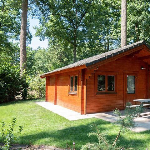 FERIENHAUS 4 Personen - Boekhorst