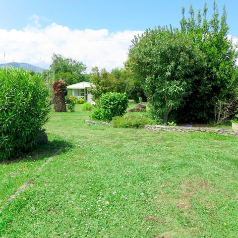 Rico Plage - Camping Nordkorsika - Image N°2