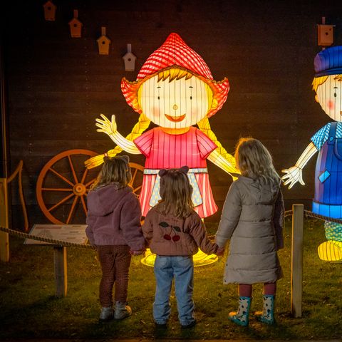 Familie Resort Molenwaard - Molenlanden - Image N°6