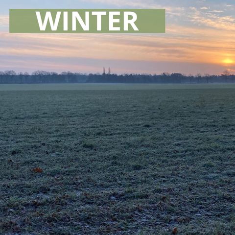 Bungalow 4 Personen - WINTER Diamantschere Deluxe
