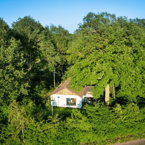 Bungalow 6 Personen - Diamantschnepfe Deluxe