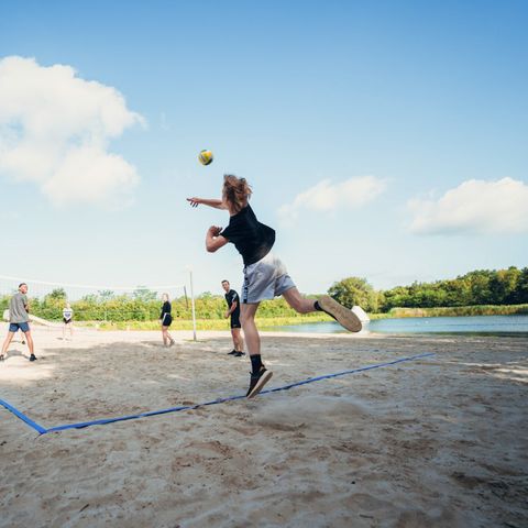 Papillon Country Resort - Camping Dinkelland - Image N°3