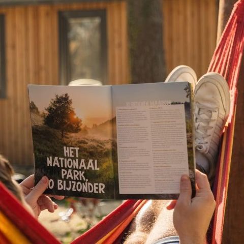 Zelt 6 Personen - Zelt Papendaal Lodge