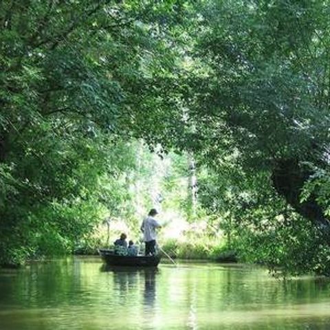 FranceComfort Bourg Est - Vilgilière - Camping Deux-Sèvres - Image N°2