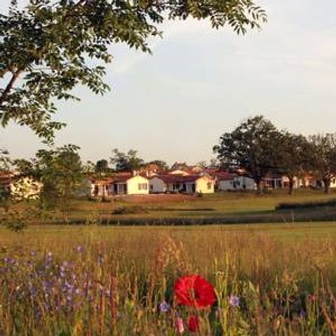 FranceComfort Bourg Est - Vilgilière - Camping Deux-Sèvres - Image N°4