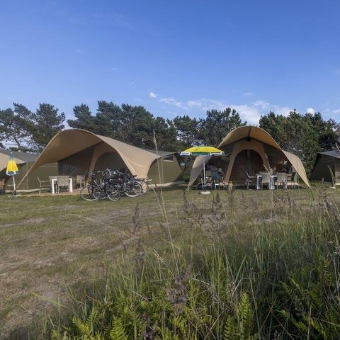 Zelt 6 Personen - Duynlodge