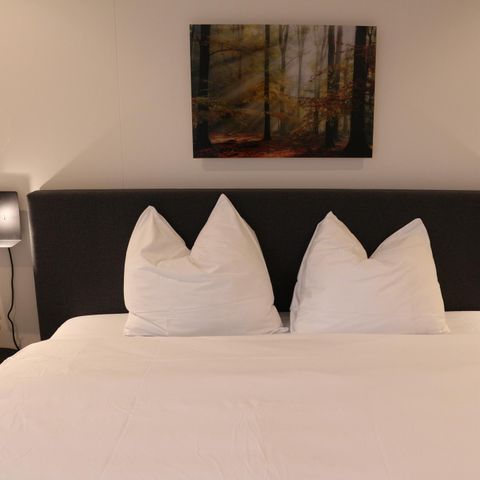 Bungalow 8 Personen - Wald-Würfel