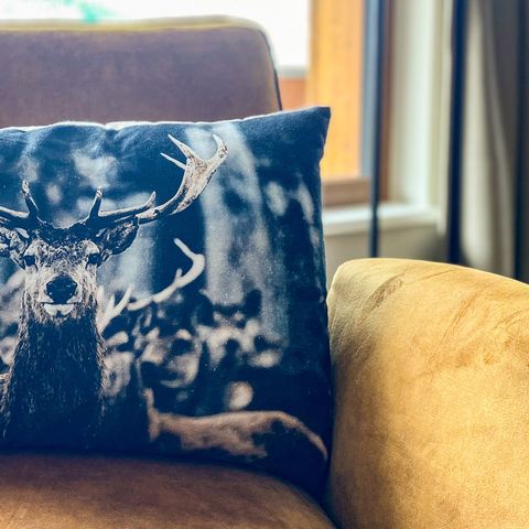 Apartement 4 Personen - A1 Luxus in der Nähe des Skigebiets