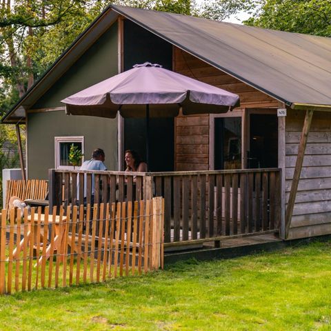 SafariZelt 6 Personen - Glampingzelt Dog Lodge