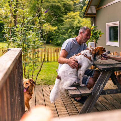 Safarizelt 6 Personen - Glampingzelt Dog Lodge