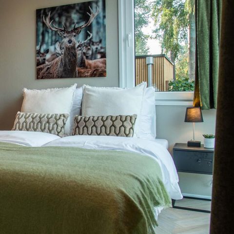 FERIENHAUS 4 Personen - Veluwe Bauernhof Wellness (Whirlpool)
