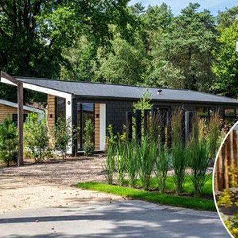Bungalow 4 Personen - Silva Wellness (Whirlpool)