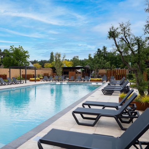 Vakantiepark Molenvelden - Camping Veldhoven - Image N°6