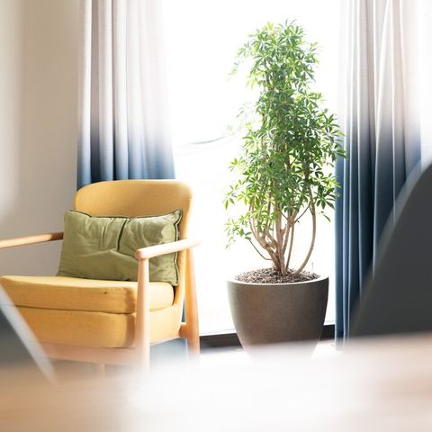 LODGE 4 Personen - Abenteuer Flut